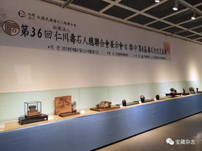 以石為媒，跨越山海 青島民間賞石藝術開啟跨國交流新篇章